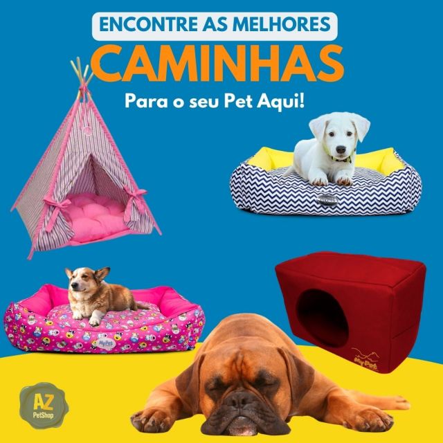 Fila Brasileiro Para Cobertura Apadrinhador Cachorros