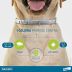 Bayer - Coleira Seresto Cães e Gato Antipulgas e Carrapatos Até 8kg 