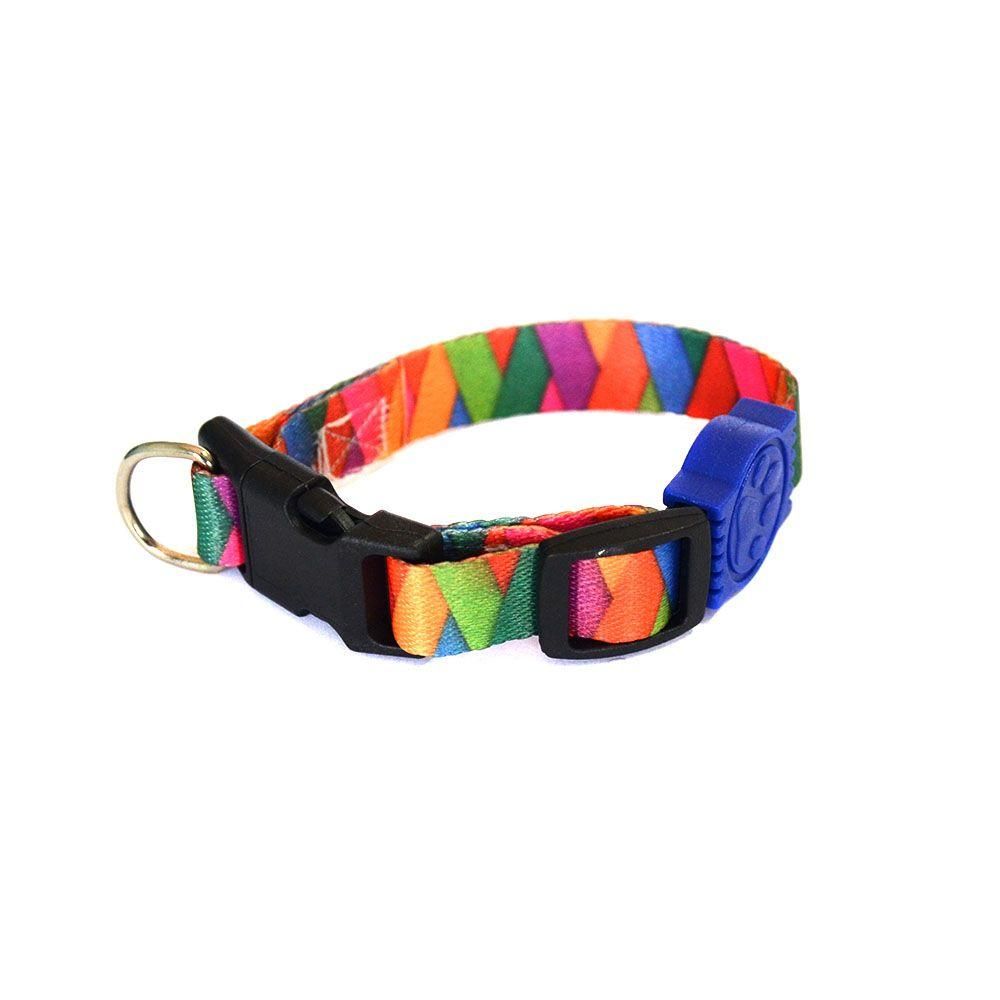 Coleira Cachorro Premium Fun Madagascar G
