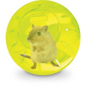 Globo Hamster Acrílico Grande 18cm - Importado