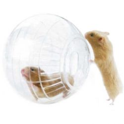 Globo Hamster Acrílico Pequeno 12cm - Importado