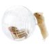 Globo Hamster Acrílico Pequeno 12cm - Importado