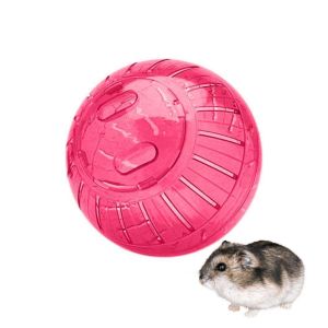 Globo Hamster Acrílico Pequeno 12cm - Importado