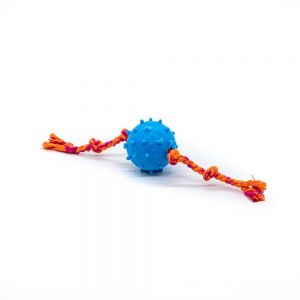 Brinquedo Cães Bola Maciça Com Corda Cravo 50mm