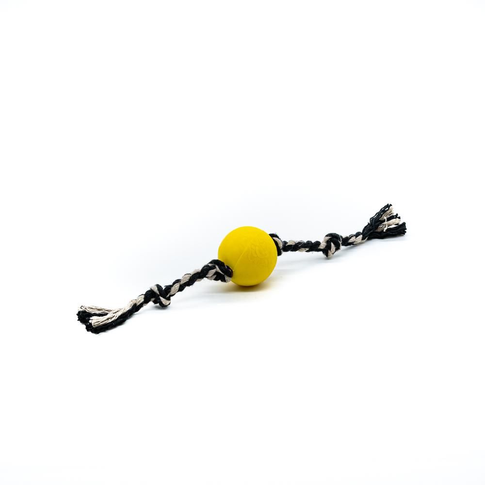 Brinquedo Cães Bola Maciça Com Corda Lisa 50mm