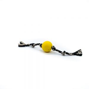 Brinquedo Cães Bola Maciça Com Corda Lisa 50mm