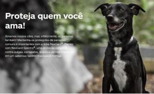 Nexgard Spectra G (Cães de 15,1 a 30 Kg), Elimina Pulga, Carrapato, Vermífugo, Ação Rápida, 30 Dias Duração - 1 Comp.