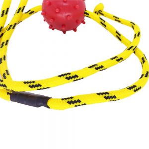 Brinquedo Cães Puxador Com Bola Maciça Cravo 50mm